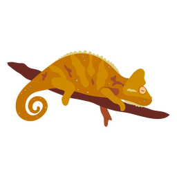 Orange chameleon reptile semi flat Transparent PNG