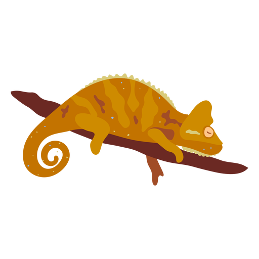 Chameleon_svg - 5 Diseño PNG