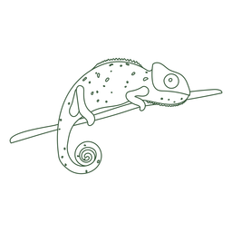 Chameleon_svg - 10 Desenho PNG