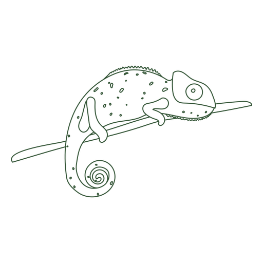 Chameleon animal stroke PNG Design