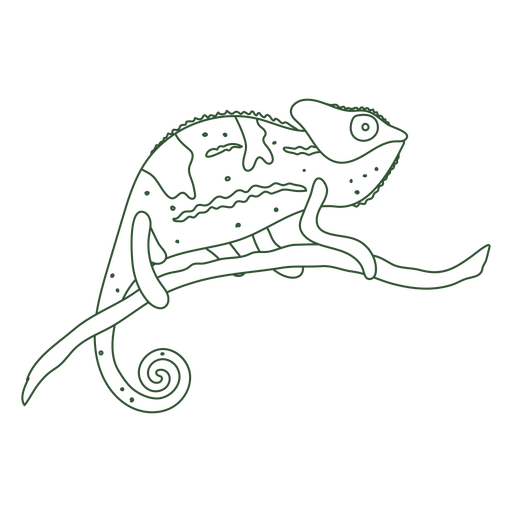 Chameleon_svg - 15 Desenho PNG