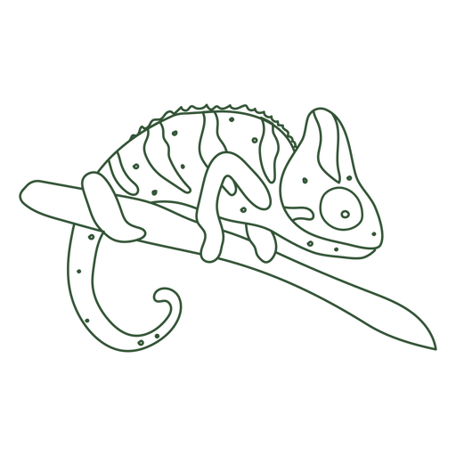 Chameleon on a branch profile continuous line