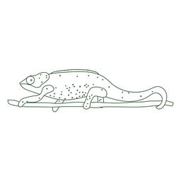 Chameleon_svg - 17 Diseño PNG