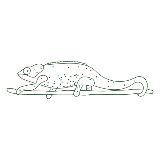Chameleon stretching continuous line PNG Design