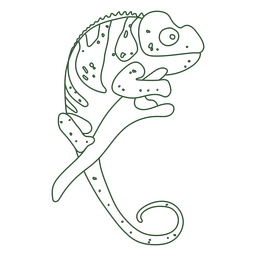Chameleon_svg - 18 PNG-Design