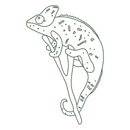 Chameleon_svg - 19 PNG-Design