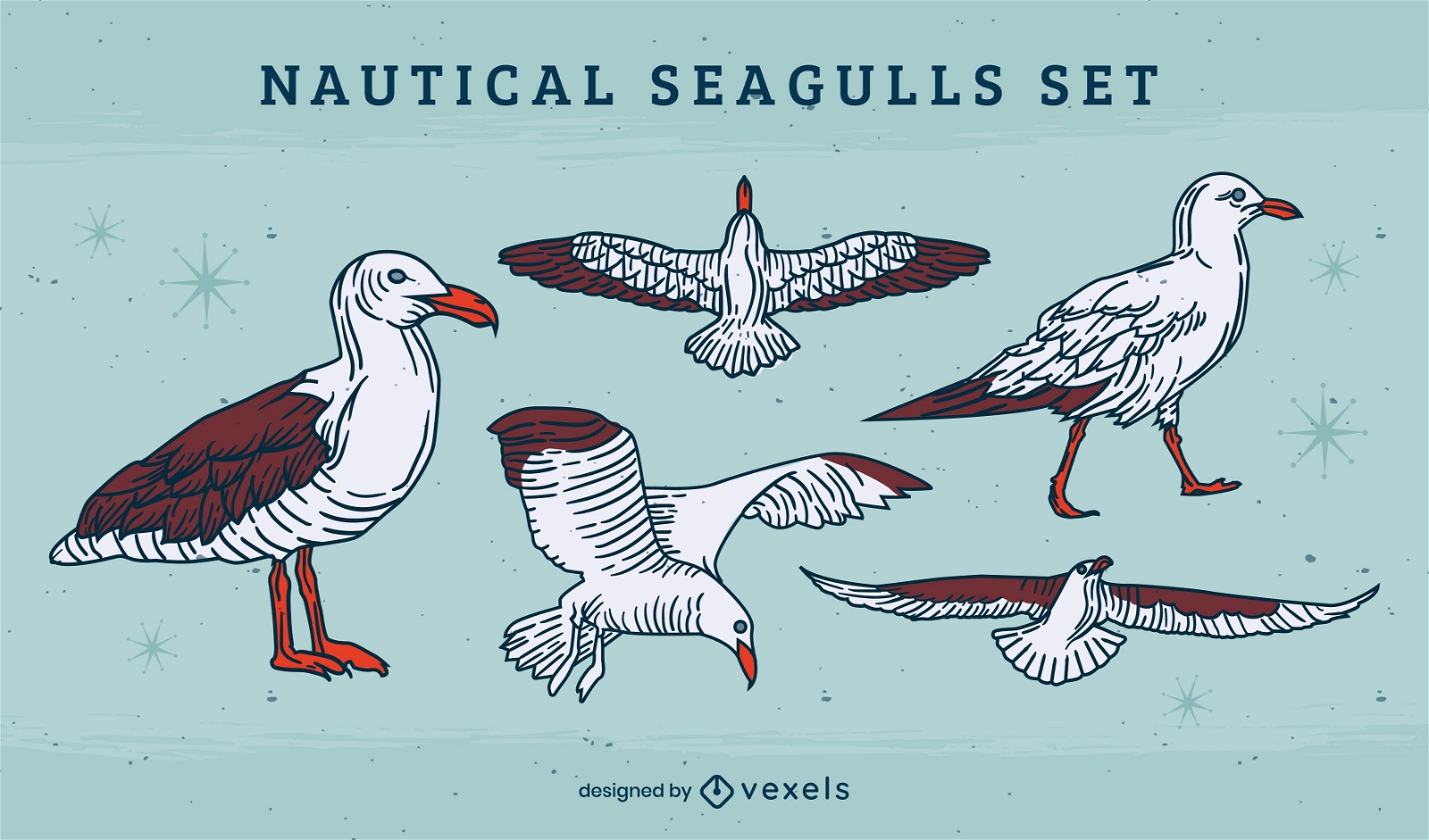 Seagull bird flying illustration set