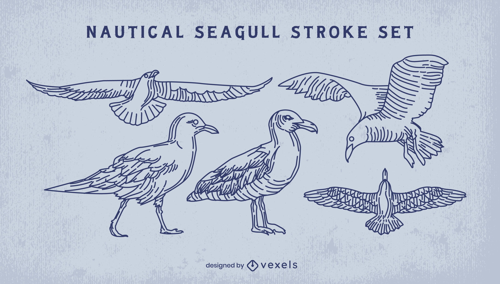 Seagull bird flying stroke set