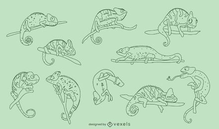 Chamäleon Reptilien Tier Natur Pack