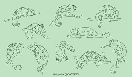 Pacote de natureza animal répteis camaleões