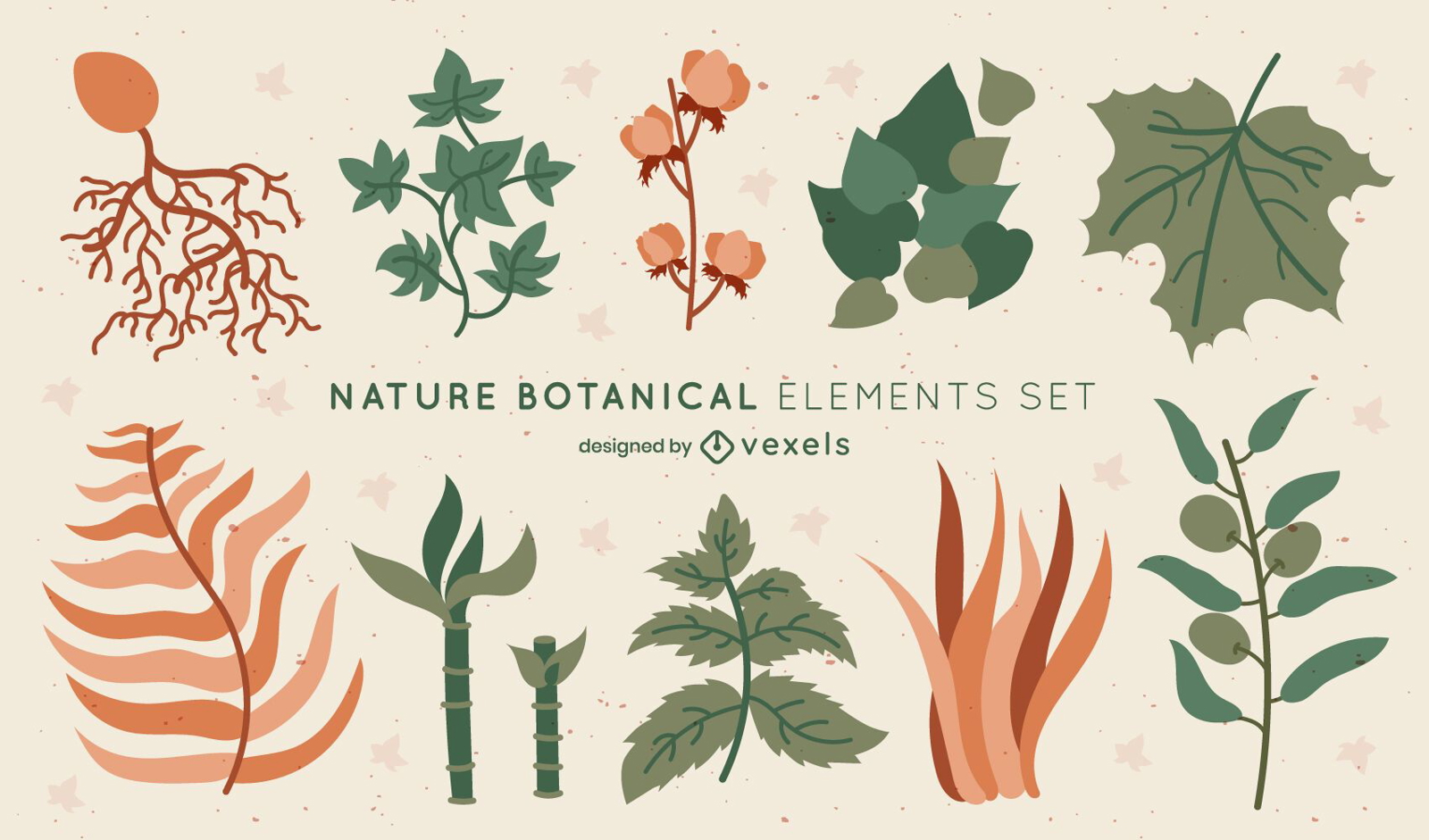 Set of natural elements for design Royalty Free Vector Image