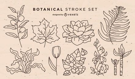 Conjunto de trazos de elementos de naturaleza de hojas botánicas