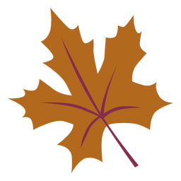 Autumn maple leaf flat