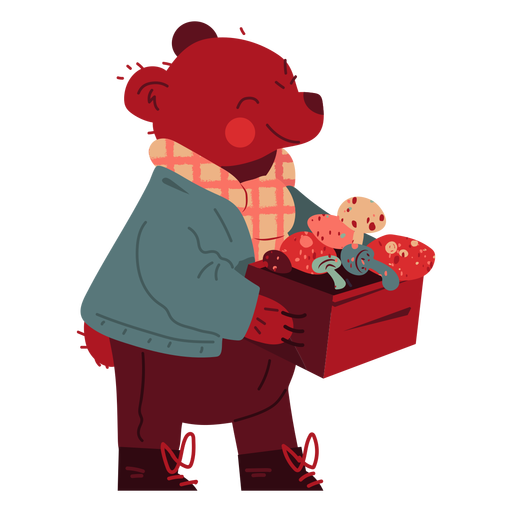 Bear with box cute