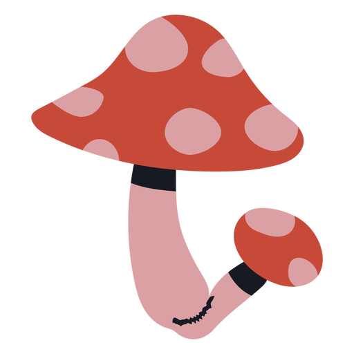 Two mushrooms flat PNG Design