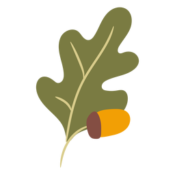 Oak tree leaf and acorn flat PNG Design