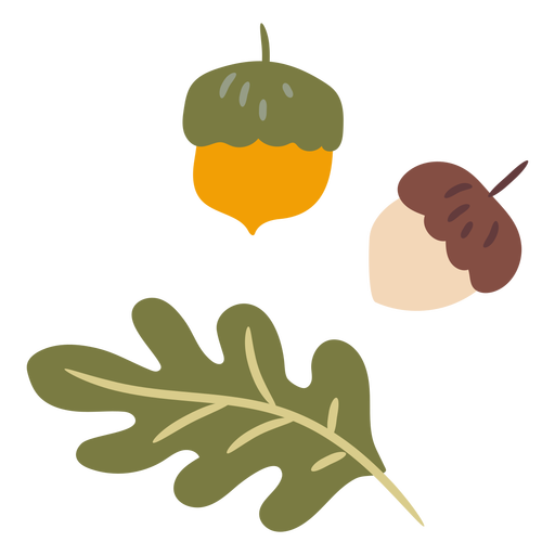 Oak tree leaf and acorns semi flat PNG Design