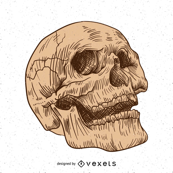 Artistic hand drawn skull design Artistic hand drawn skull design