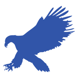 Pájaro águila animal vuelo silueta