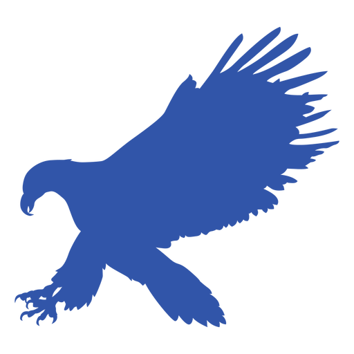 Bird eagle animal flying silhouette PNG Design