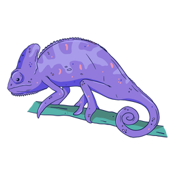 Purple chameleon color stroke Transparent PNG