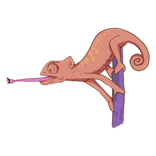 Dark pink chameleon color stroke PNG Design