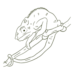 ChamäleonHandraw - 6 PNG-Design