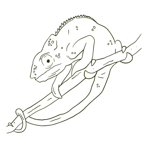 ChameleonHandraw - 6 Desenho PNG