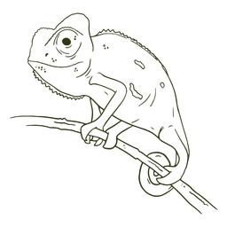 ChameleonHandraw - 10 Desenho PNG