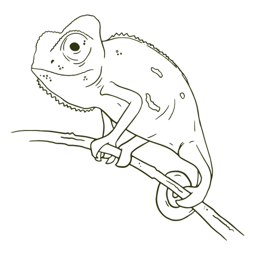 ChameleonHandraw - 10 Desenho PNG