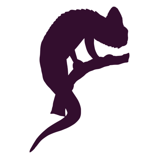 Chameleon profile silhouette PNG Design