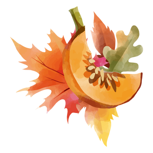 Cantaloupe fall design watercolor 