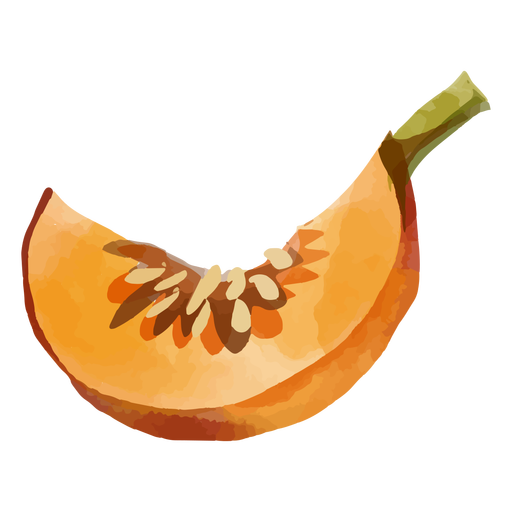 Pumpkin slice watercolor