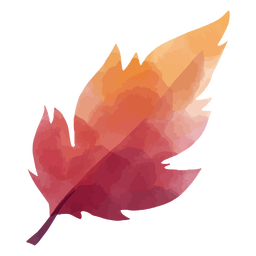 Pointy leaf watercolor Transparent PNG