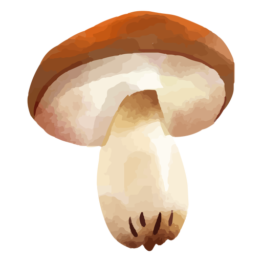 Mushroom watercolor PNG Design