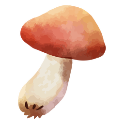 acuarela de otoño - 23 Diseño PNG