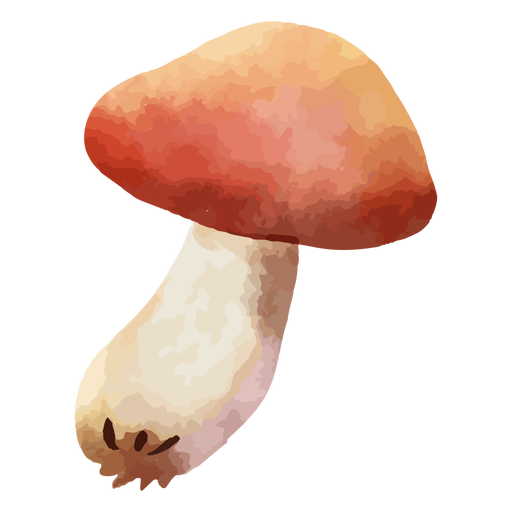 Red mushroom watercolor PNG Design