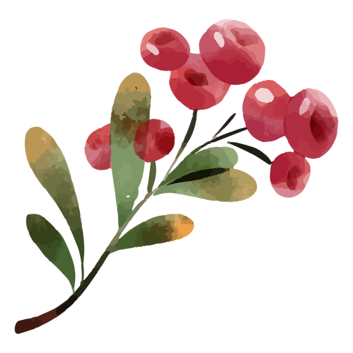 Cherry fruits watercolor PNG Design