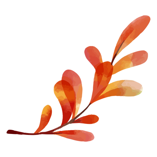 Orange leaves in a branch watercolor