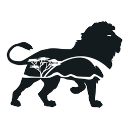 HatDecals-DobleImage - 32 Diseño PNG