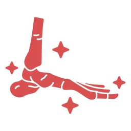 Huesos del pie humano recortados brillantemente Diseño PNG