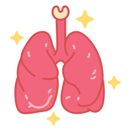 Lungs body organ color stroke