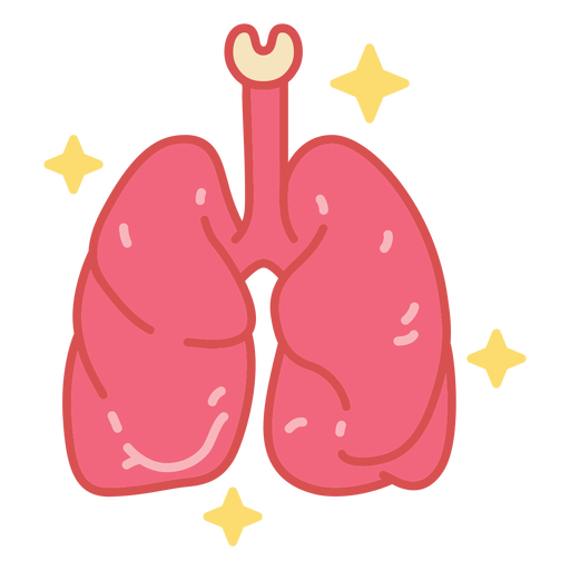 Lungs body organ color stroke PNG Design