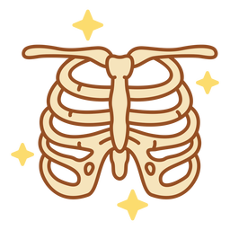 Anatomia-Órgãos-Uniforme Monolina - 16 Transparent PNG
