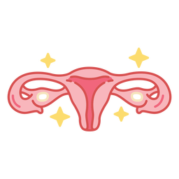 Uterus body organ color stroke PNG Design