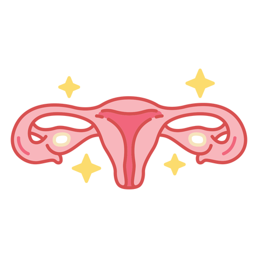 Farbstrich des Uterus-Körperorgans PNG-Design