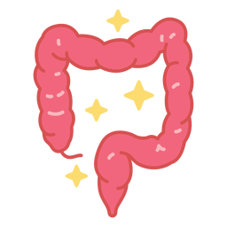 Curso de cor rosa do intestino humano
