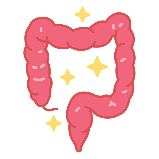 Pink human intestines color stroke