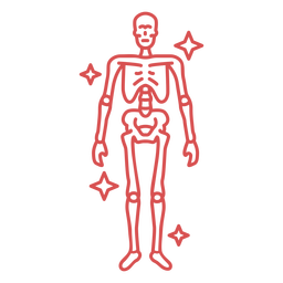 Pink human skeleton stroke PNG Design