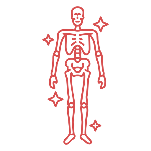 Pink human skeleton stroke PNG Design